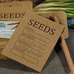 Seed Storage Envelopes