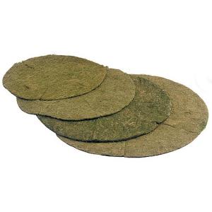 Green Hanging Basket Easy Liner 25cm
