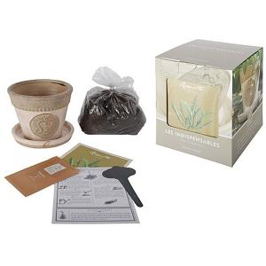 Rocket Growing Kit