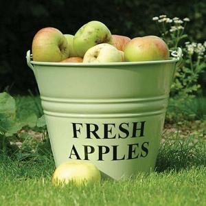 Fresh Apples Bucket