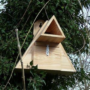 Little Owl Nest Box