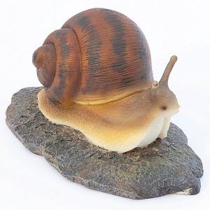 Snail