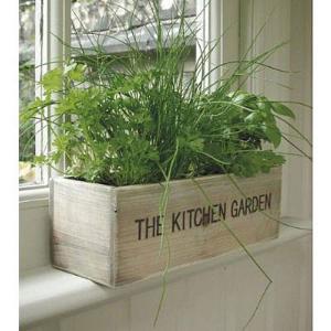The Kitchen Garden