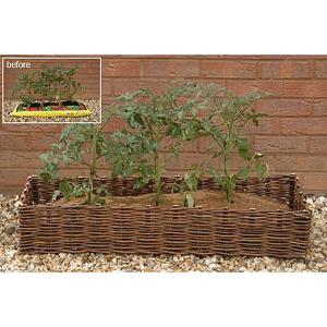 'Hide Those Ugly Growbags' Willow Planter