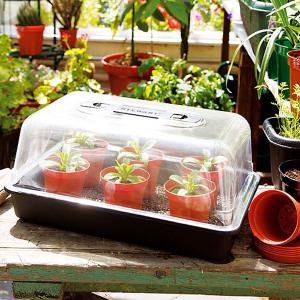 Unheated Propagator - 22.5cm