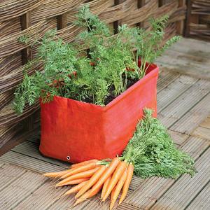 Carrot Patio Planter - Pack of 2