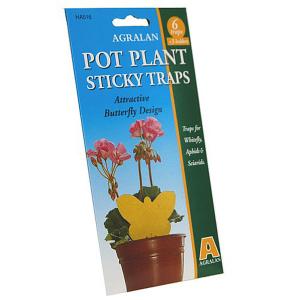 Plant Pot Sticky Traps
