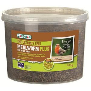 Mealworm Plus Tub - 400g