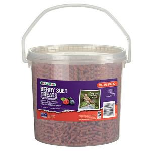 Berry Suet Treats - 5kg