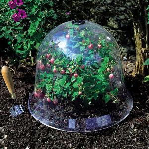 Large Victorian Bell Cloche