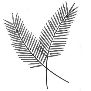 Palm Leaf Wall Art