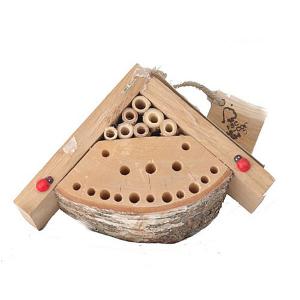 Bug Box Insect House