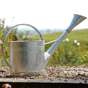 Stainless Steel Waterfall Watering Can - 9ltr