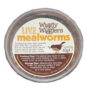 Farmer Phil's Live Mealworms Tub 40g