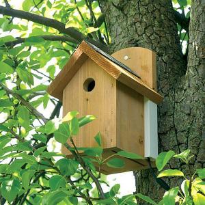 Gardman Colour Camera Nest Box