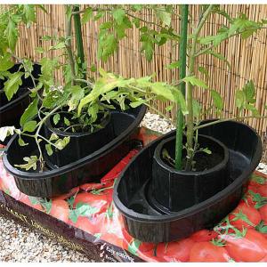 Growbag Watering Pots (3)