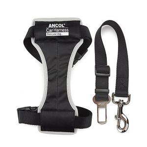 Car Harness - 4 Sizes
