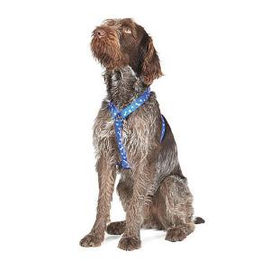 Paw 'n' Bones Nylon Harness - 2 Sizes