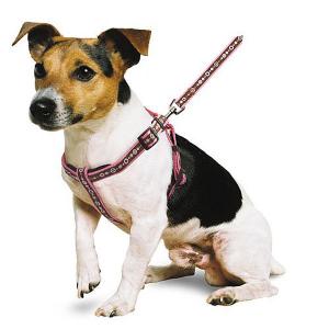 Pink Chain Padded Harness - 4 Sizes