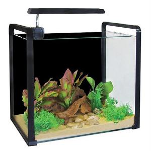 AquaSpace 40 Aquarium