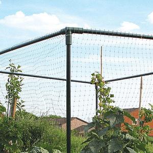 Botanico 'Let's Grow' Crop Cage - 2 Sizes Available