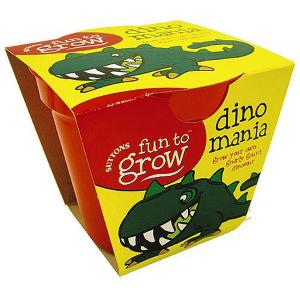 Fun to Grow - Single Pots