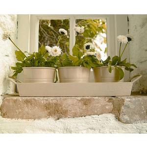 Cream Pots on a Tray - 3 Sizes Available