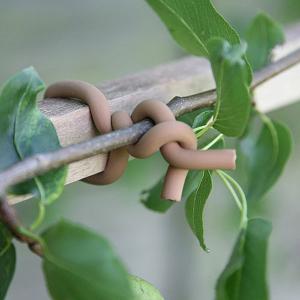 Woody Original Soft-Tie - 2 Sizes Available