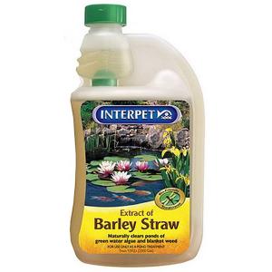 Barley Straw Extract - 2 Sizes Available