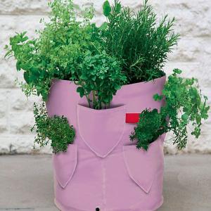 Patio Planter Packs - Herb, Strawberry, Children's & Vegetable