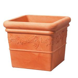 Grapes Square Planter - 2 Sizes