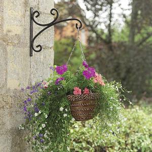 Sisal Rope & Fern Hanging Basket - 2 Designs Available