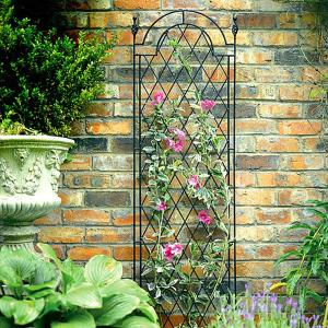 Spiral Trellis - 2 Sizes Available