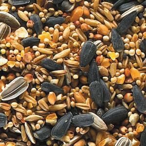 Classic Seed Blend