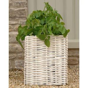 Willow Potato Planter - 2 Colours Available