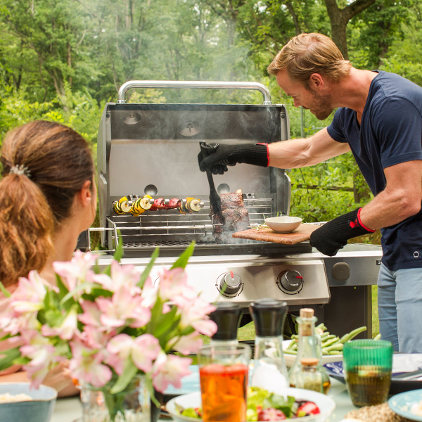 Garden Plants, Tools and Garden Furniture bs Garden Centres