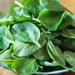 Spinach and Chard Seed