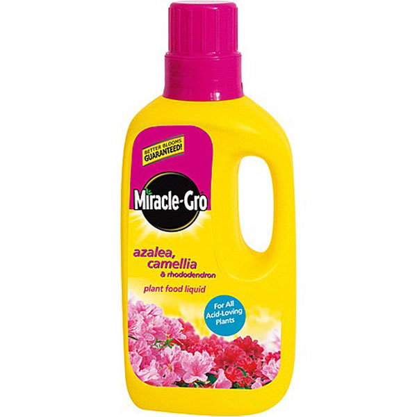 Miracle-Gro Ericaceous Liquid 1 ltr