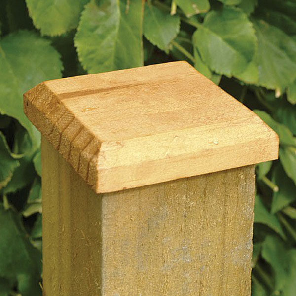 Fence Post Cap Fence Posts bs Direct Garden Centre