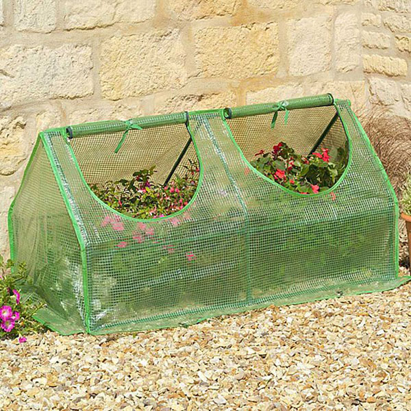 Multi Cloche