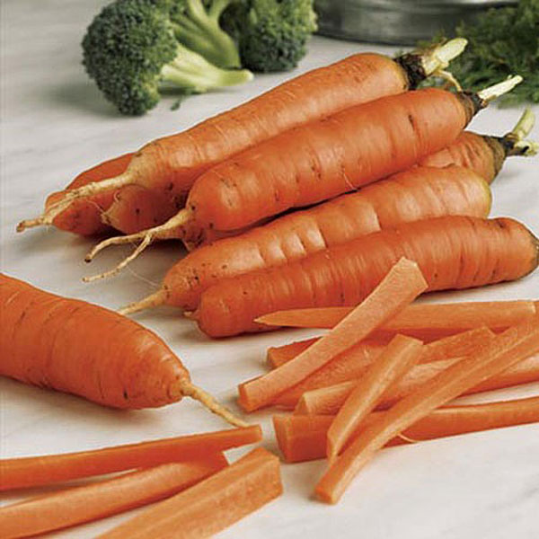 Carrot Early Nantes 5 - 1100 Seeds