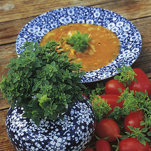 Herbs Basil Bush - 250 Seeds
