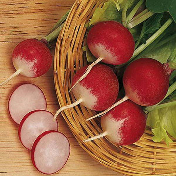 Radish Sparkler 3 - 500 Seeds