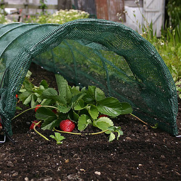 Easy Net Tunnel