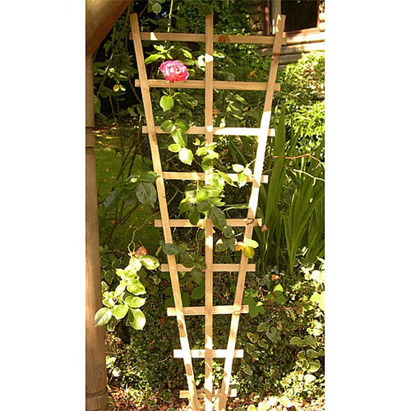Malvern Fan Trellis 6' x 2'