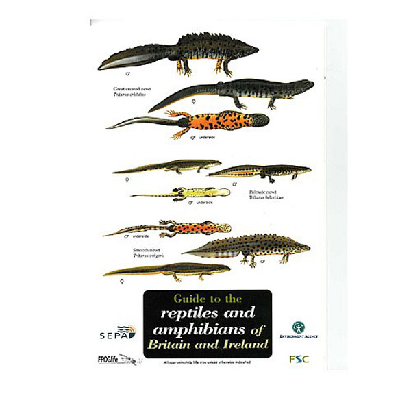 Field Guide to Reptiles & Amphibians