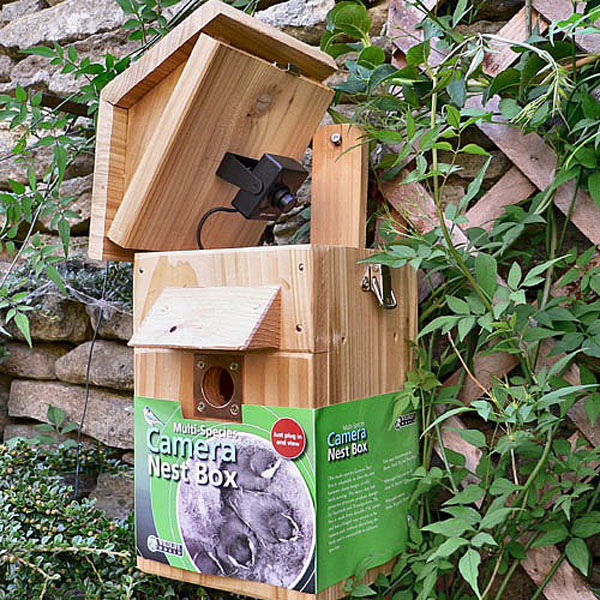 Multi-Species Nest Box with Black and White Camera