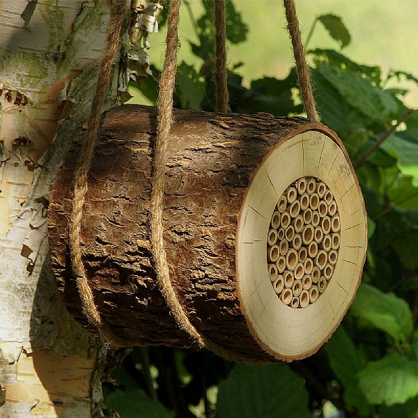 Pollinating Bee log
