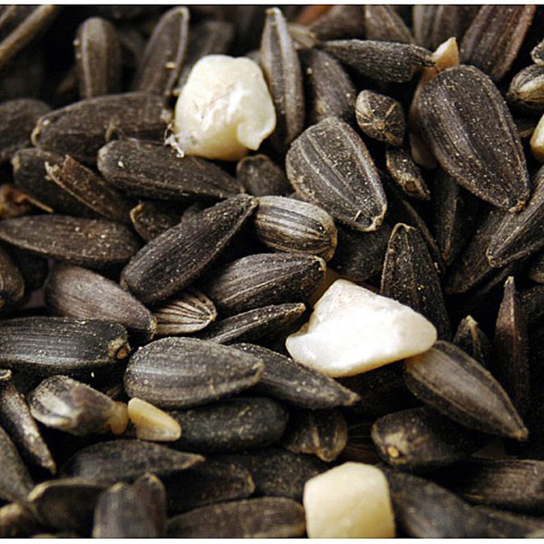 Feeder Seed - 3.25kg