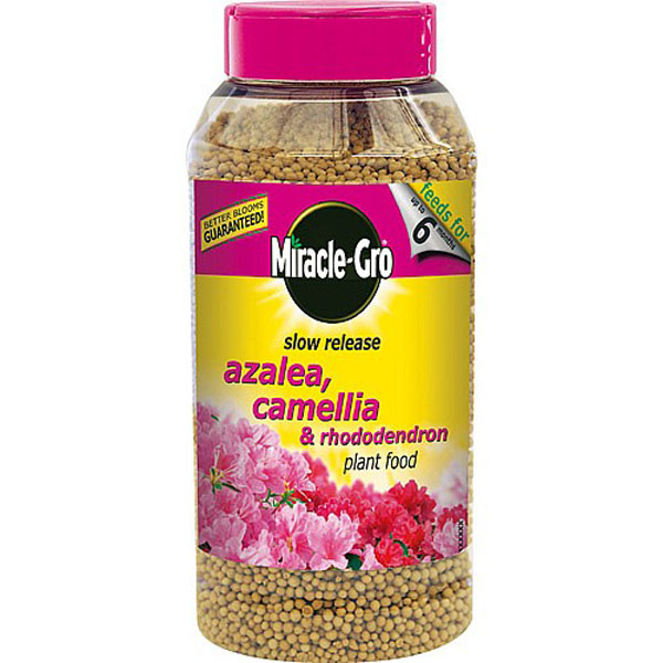 Miracle-Gro Slow Release Ericaceous Jar - 1kg